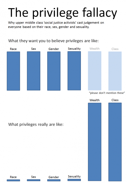 File:Privilege Fallacy.png